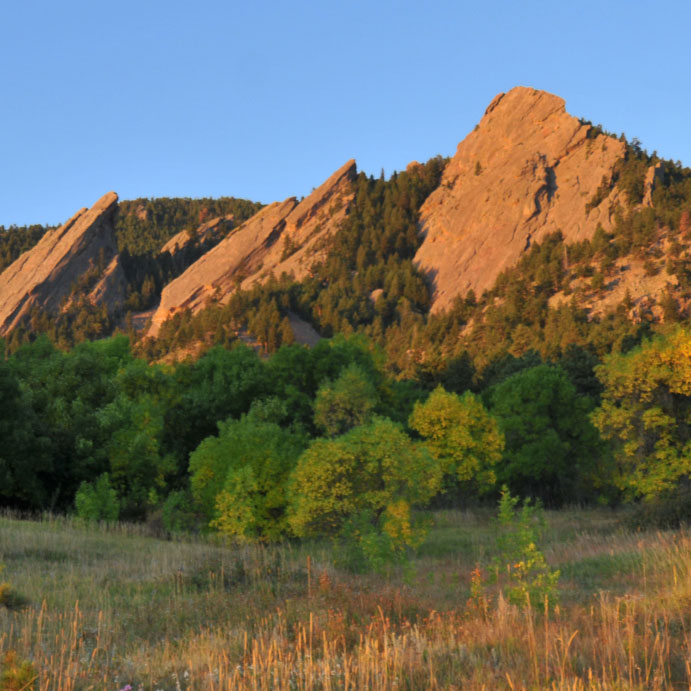 Boulder flatirons view with long native grass in foreground.